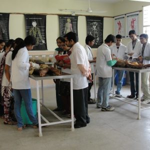 1589976351_Dissection_Hall