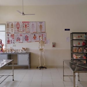1716961557_Anatomy_laboratory